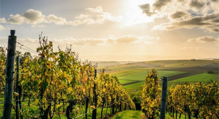 Bryant Christie graphic